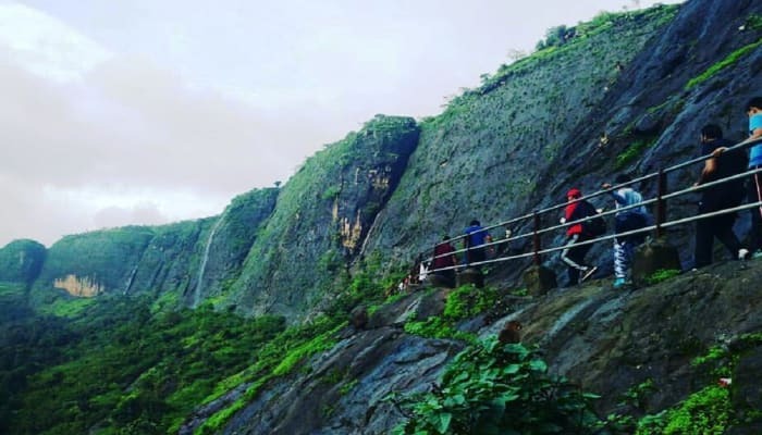 The Climb: What You'll See on the Way Up.