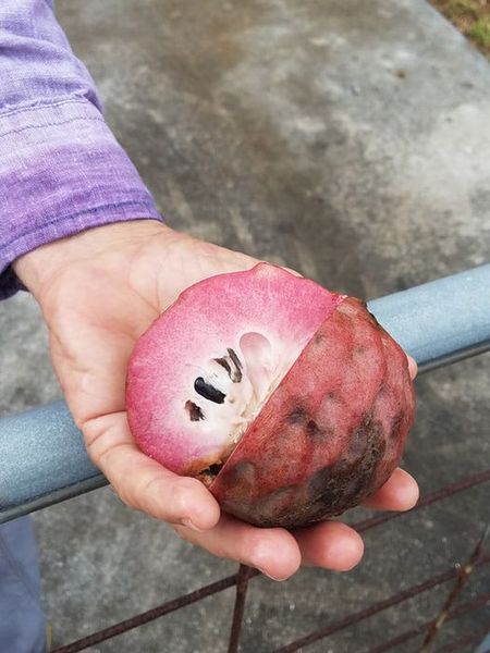 428158672_1629745931097174_4497418619916847933_n