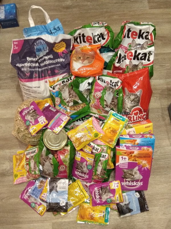 помощь свадьба АртемНаталья2