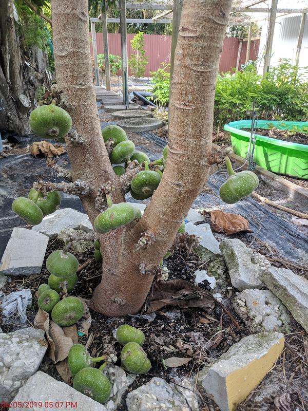 [Image: IMG-20190506-170626.jpg]