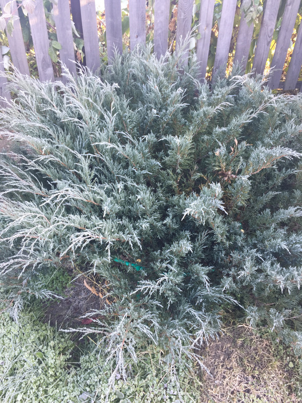 3DC107BA-677A-4B66-9627-25BD5D4A6A35