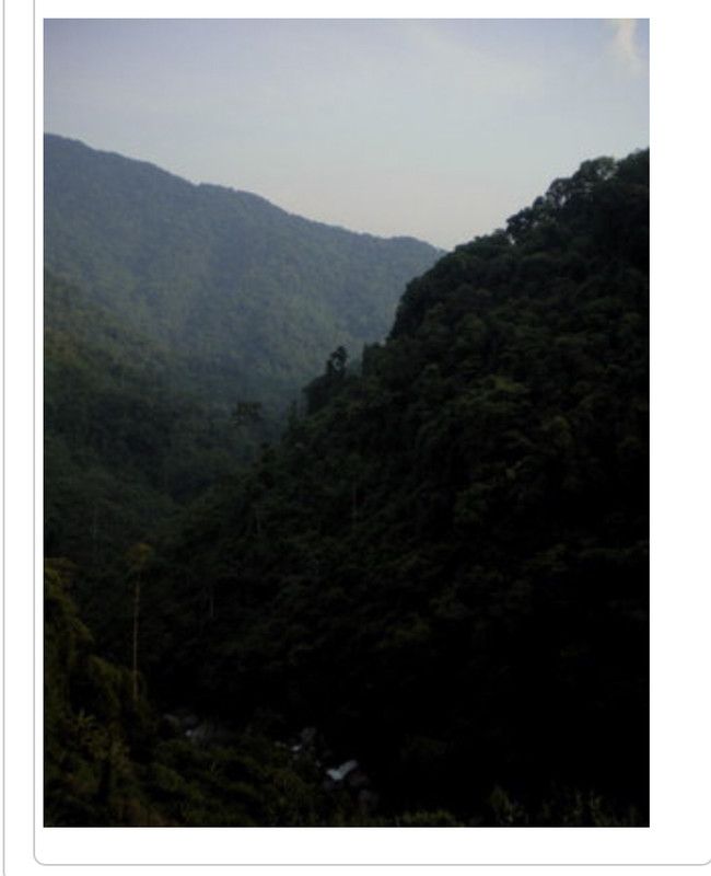 A1E074C0-5C36-4AB0-A583-627E6E103E77