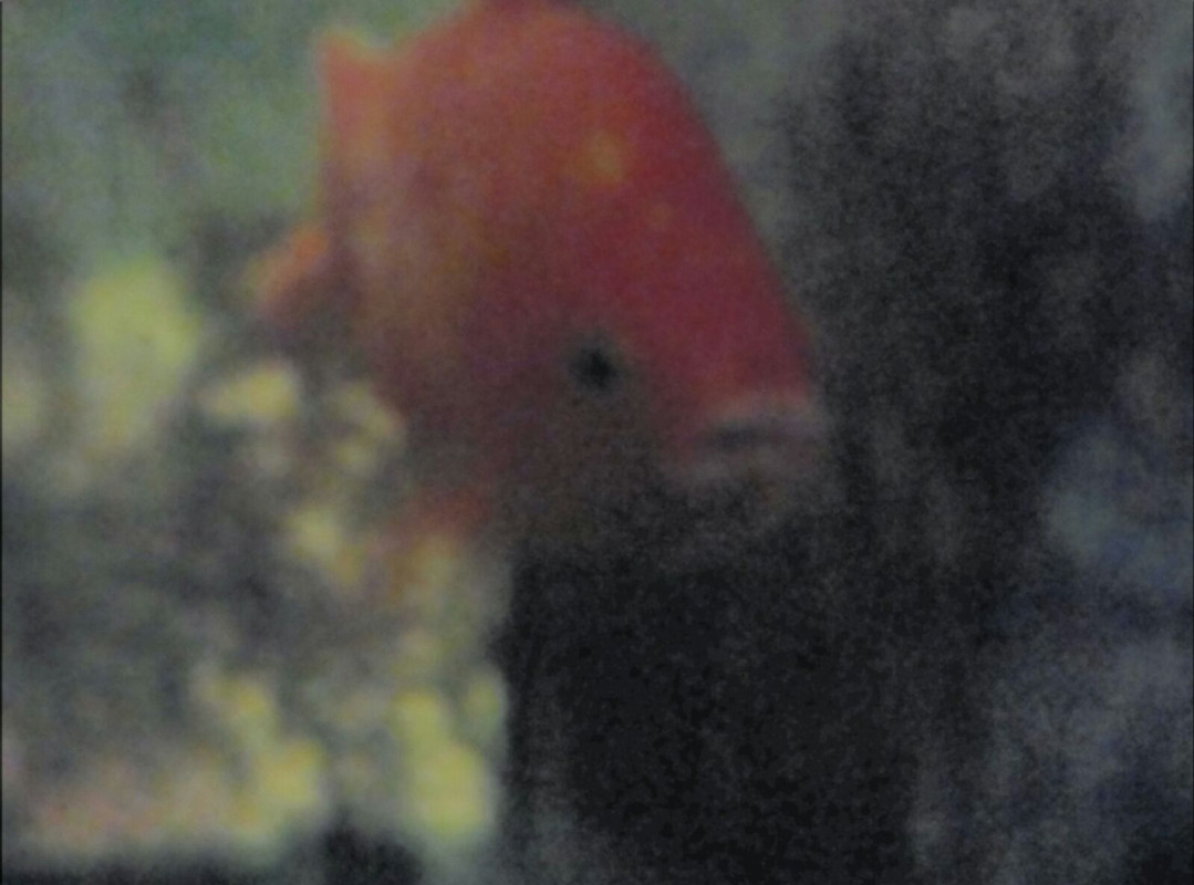 WhatsApp Image 2018-01-12 at 19.38.15(2)