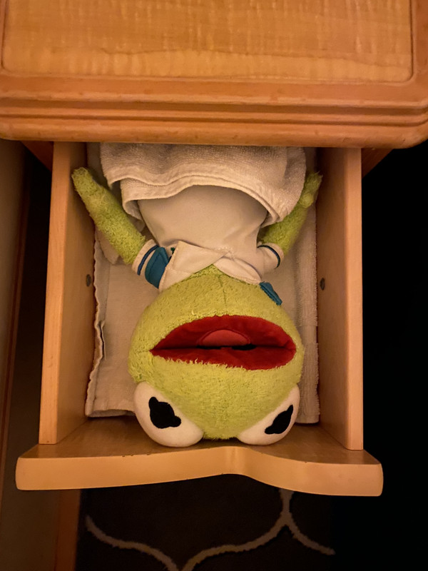 Kermit the Frog laying upside-down, tucked in white hotel towels in a drawer while looking into the camera.