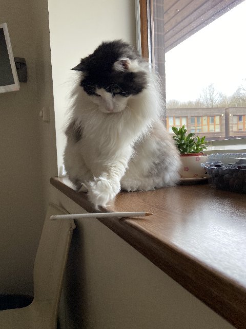 1-D6062-D1-14-C5-42-C7-8676-0-DB3-EA4-FA