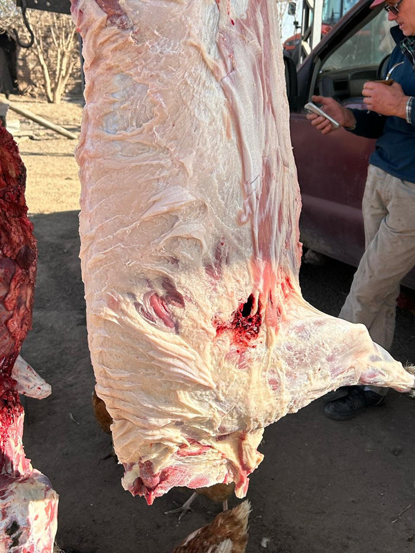 WhatsApp Image 2024-08-02 at 12.29.04 (2)