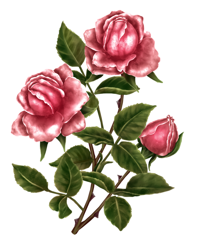 BIBI-PINK ANGEL ELEMS (70)