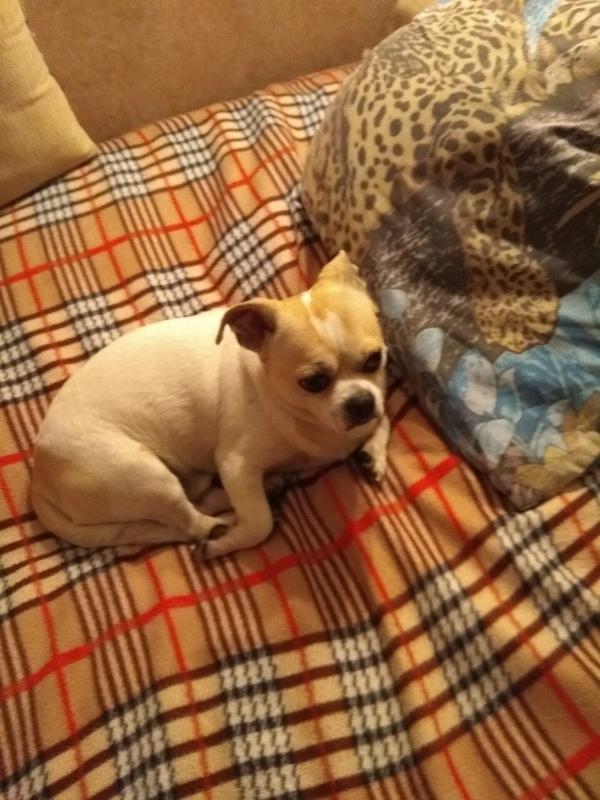 9A18F239-BB5D-4B2D-9372-C5182D6D83E4