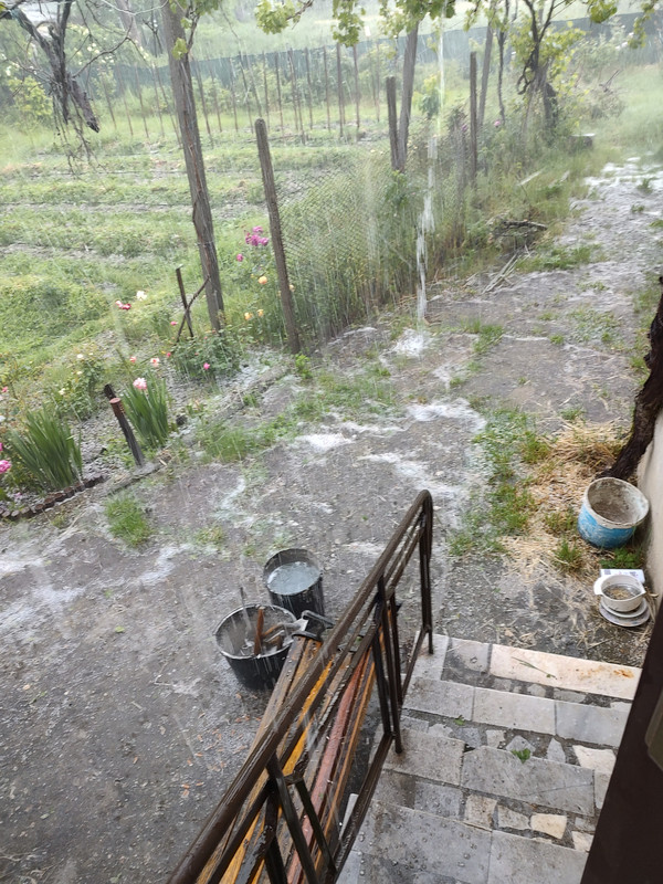 IMG_20230603_145251497_HDR