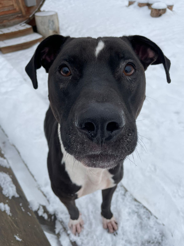 B500EC03-5323-4375-A4F9-0330154241BA