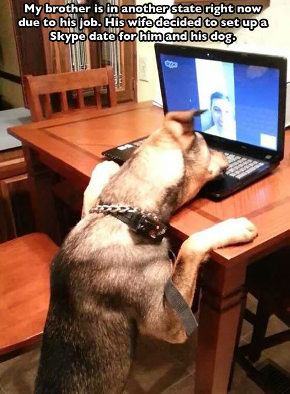 mans-best-friend-17