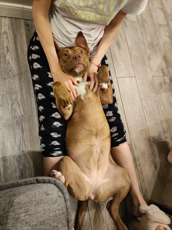 326E9134-25E4-42F9-96F6-5A3E8524CB80