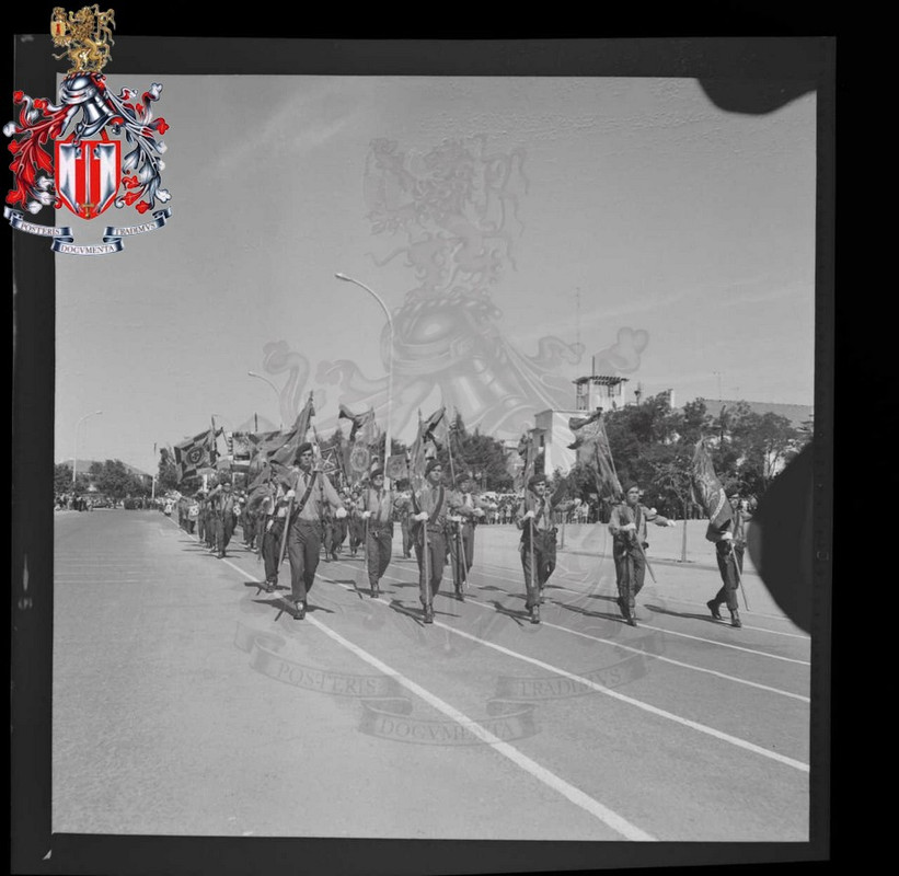 PT-AHM-FE-CAVE-CFE-A46-1216-006-dissemination