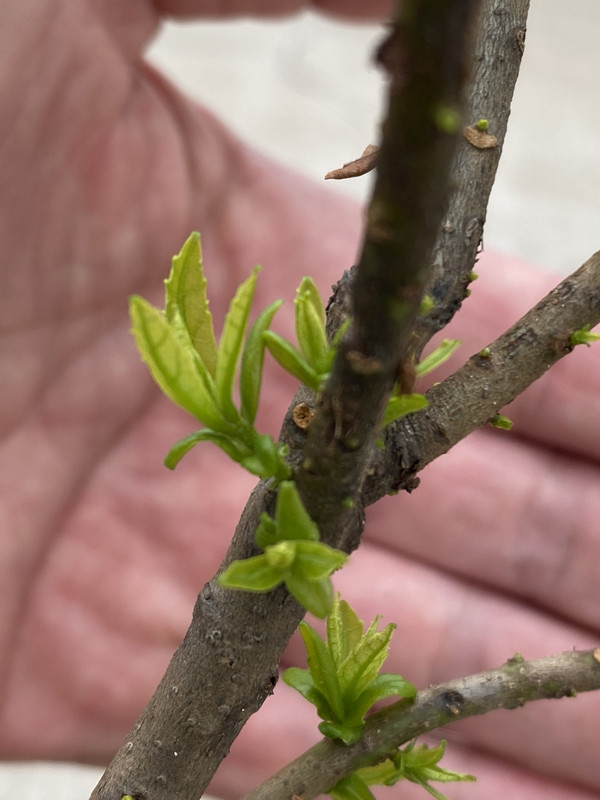 C18EF4EE-03E2-44BF-9B01-8D17055B0A8E