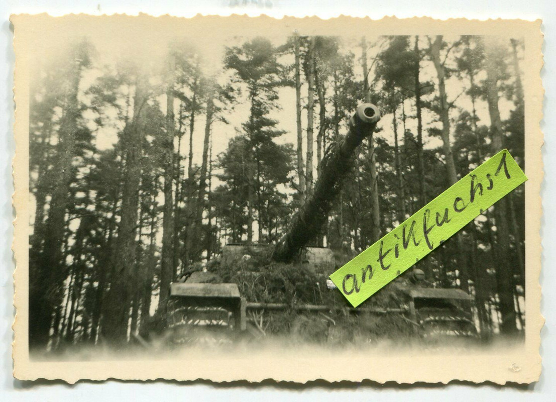 schwerer Deutscher Panzer vom Typ V Panther mit Äste getarnt 194