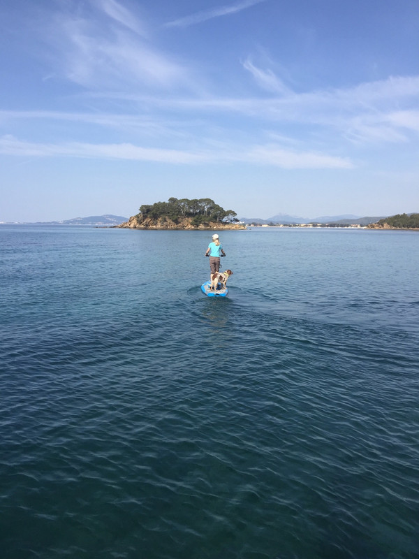 3 E316 AE7 D7 BC 4169 B733 DCF037 BC3 D9 C — Postimages