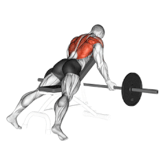 remada no banco inclinado pegada pronada com barra