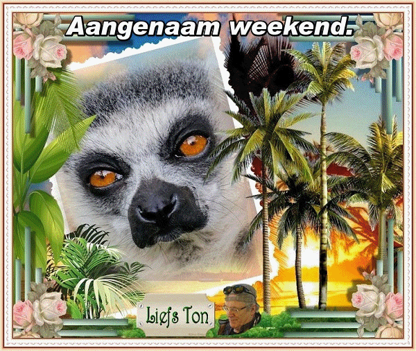 www.krabbelplaatjes.com