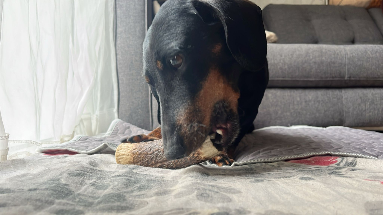 [Image: IMG-20250724-WA0008.jpg]