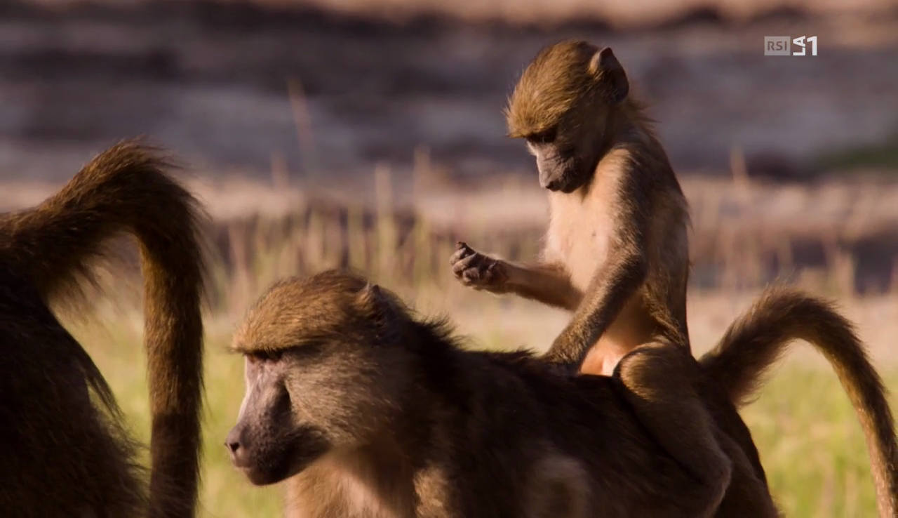 vlcsnap-2017-02-13-17h54m33s883