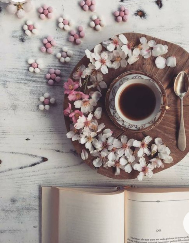 Screenshot_20221227_021059_Chrome