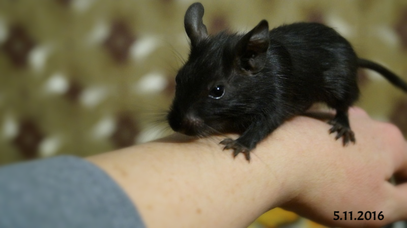 DSC08828_20-24-55
