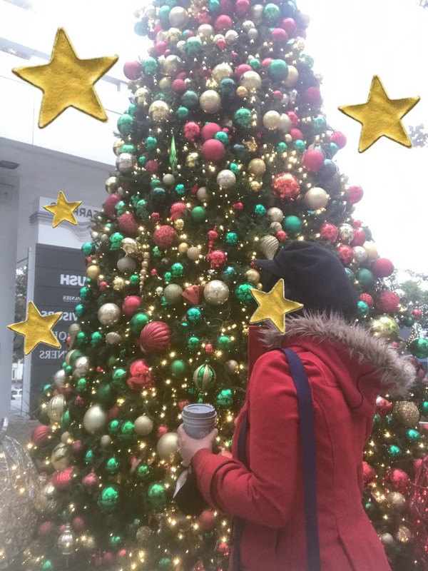 Christmas Tree 2024-2025