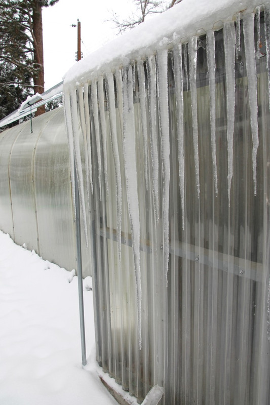 5ft icecicle