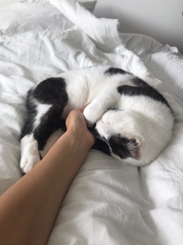 D10E66BE-25B1-4ABE-A6BD-29A799BDF24B