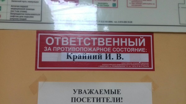 18 по-настоящему удачных фотографий, которые появились благодаря наблюдательности и нелепой случайности