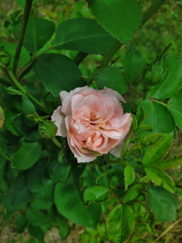 IMG_20210628_110156