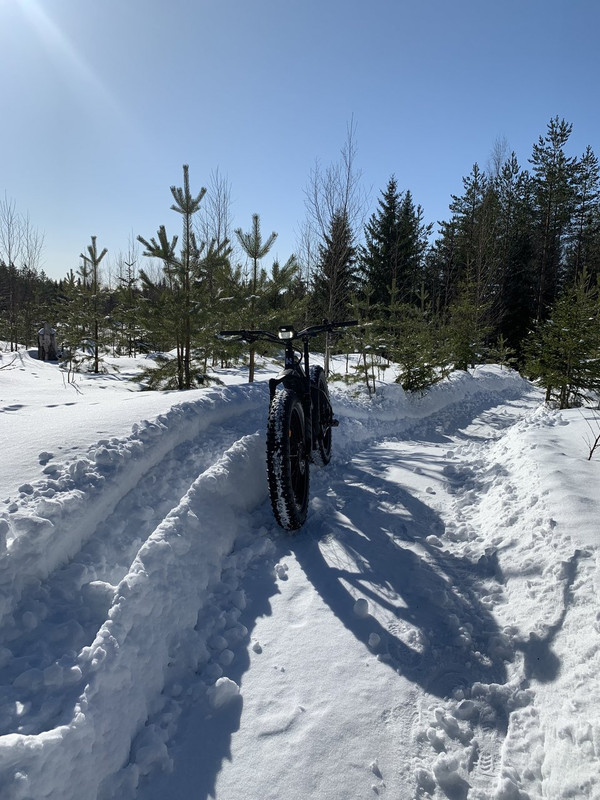 36AA9681-A68D-4570-B952-0971460359E4