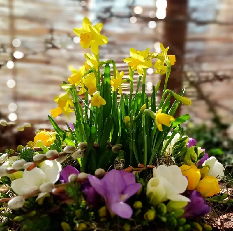 eva-pavlova-vystava-predjari-prazsky-hrad