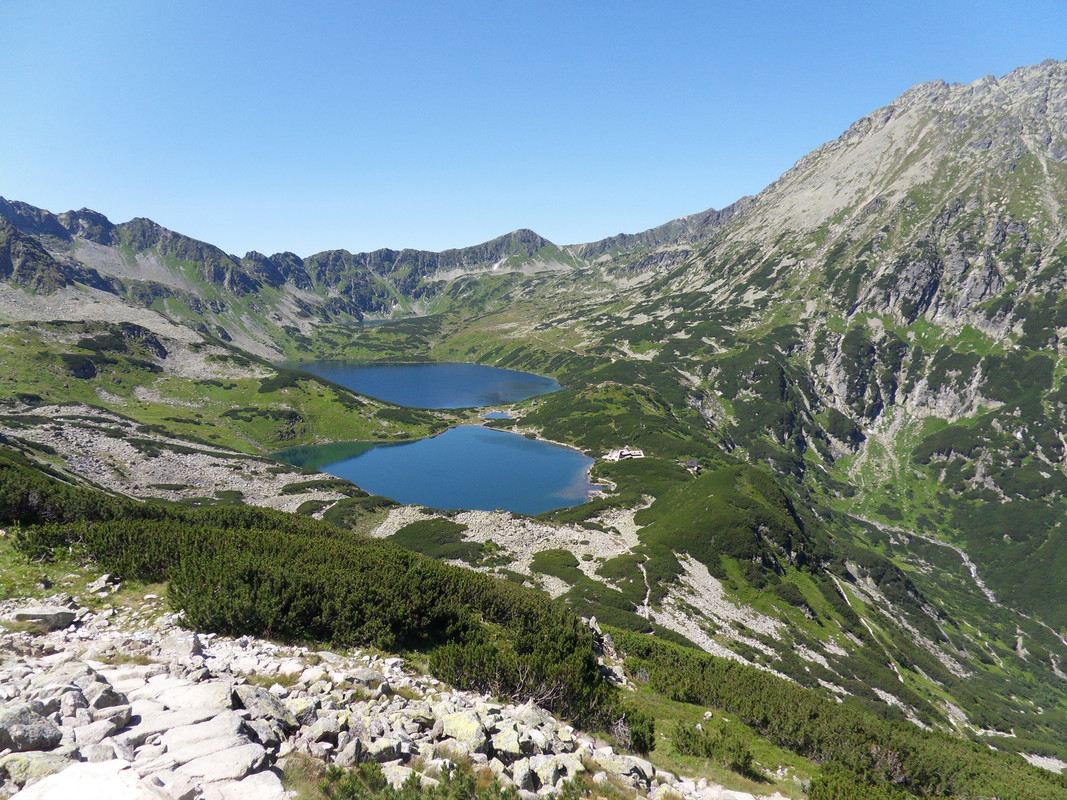 34 - SDC12111 (Czesio1)