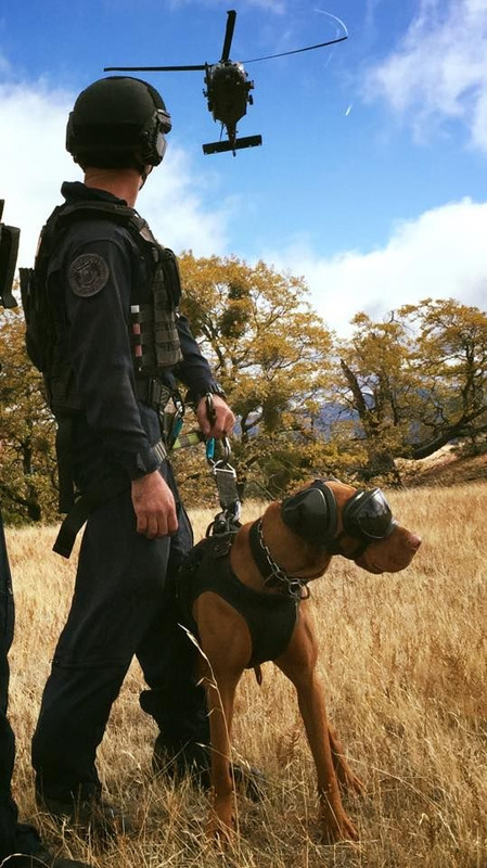 U.S. Coast Guard Maritime Safety & Security Team1