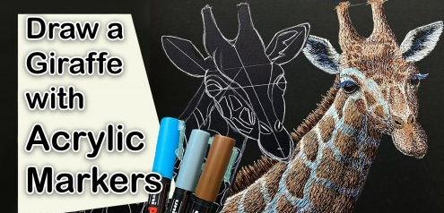 Acrylic Marker Giraffe Drawing - How to draw an animal with Paint Pens