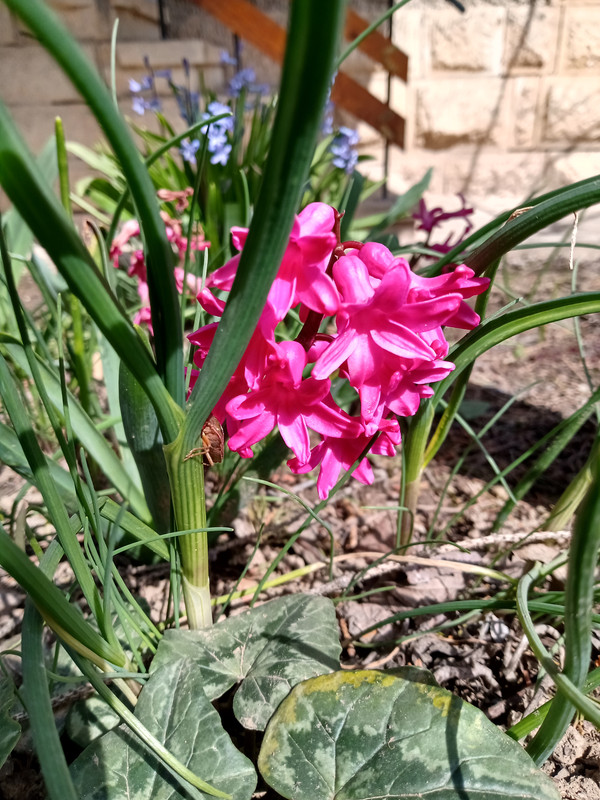 IMG_20200328_122532744_HDR