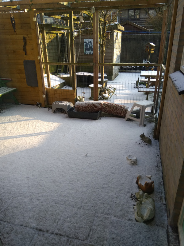 15198064384933273853838572515411