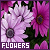 14b5d8bd3569af-flowers50x50-14