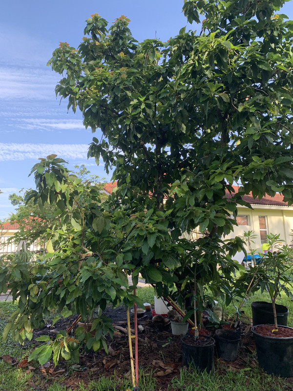 7F74D8C3-3B21-4B71-94AC-BB21607DA196