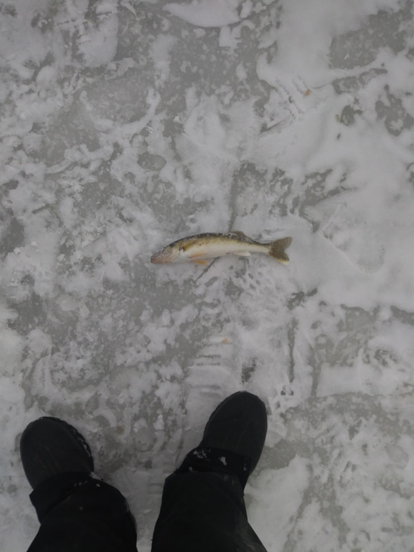 20190220_160212
