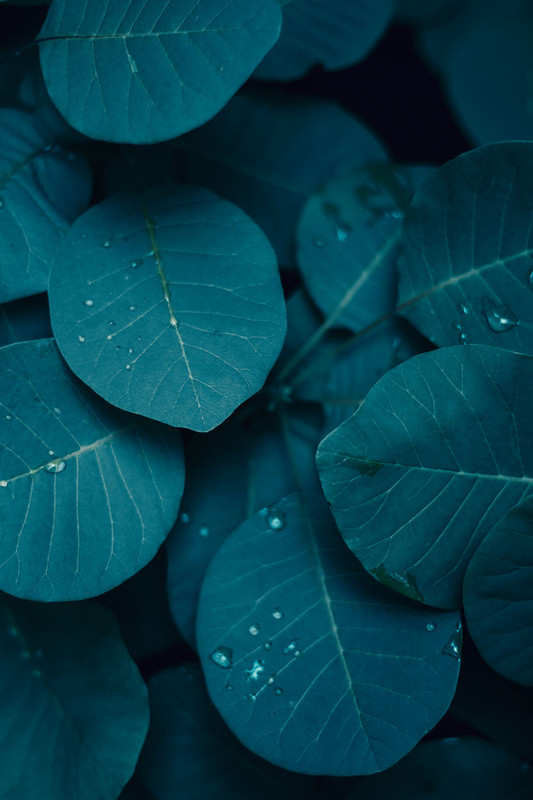 tumblr-oe8hgs4-Swy1sj80hno1