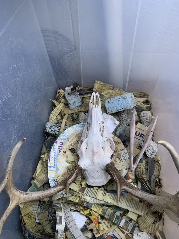 63CCFBC2-2D77-4667-BFAF-A57A30271F46