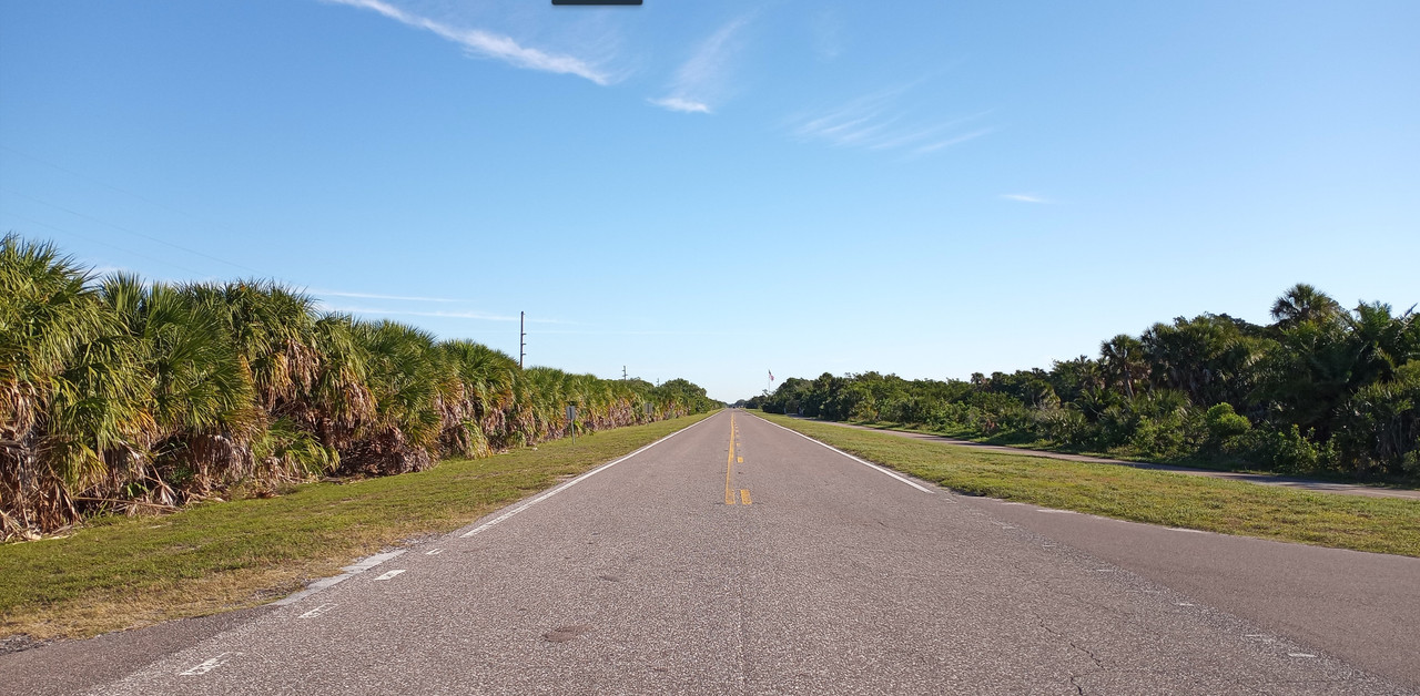 [Image: Florida2.jpg]