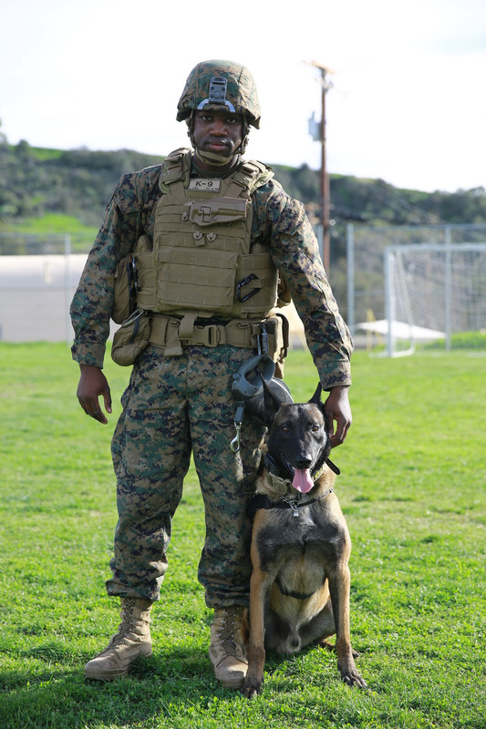 USMC K9  Marine Air Ground Task Force Crisis Response Central Co