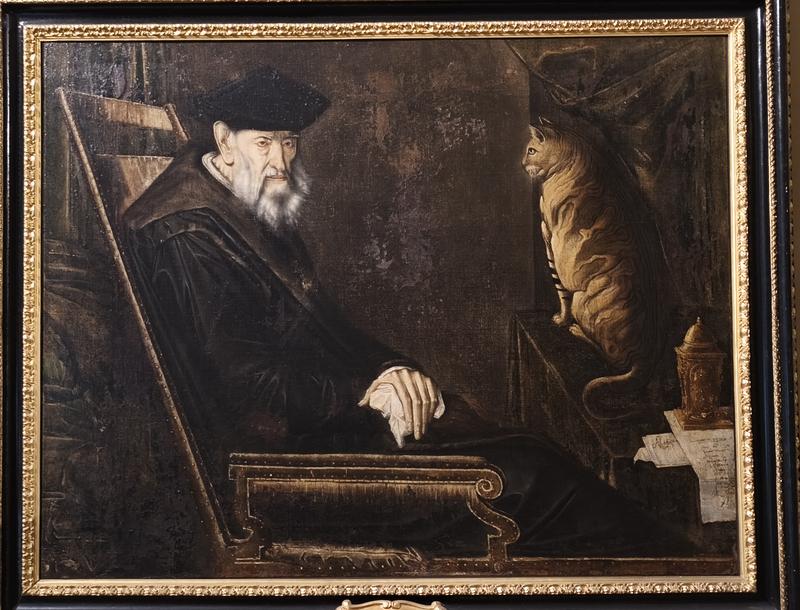 Milán-Turín-Génova-Pavía - Blogs de Italia - Génova, espectacular conjunto museístico (291)