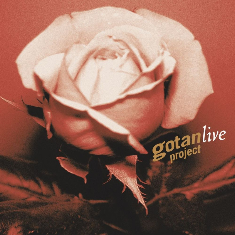 Gotan Project - Gotan Project live [Album] (2008) .flac