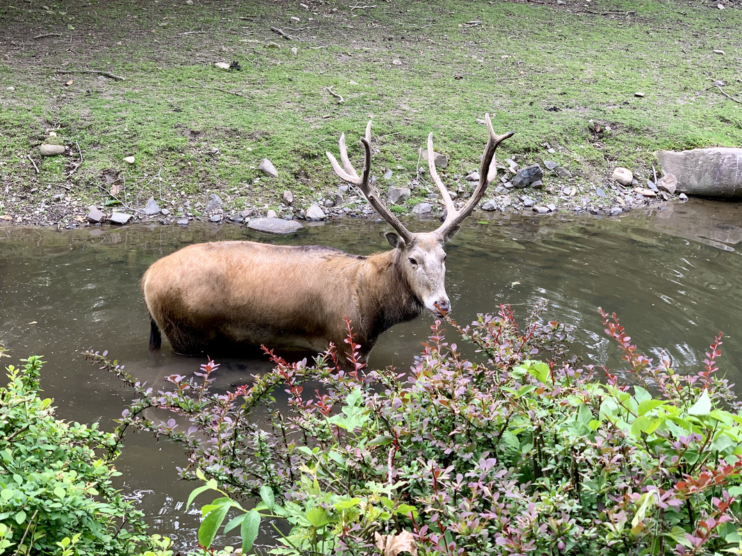 500B4257-D25F-4090-B065-35980CF54AD9