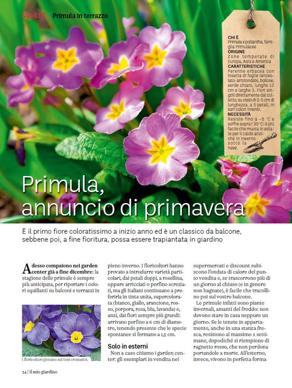 il mio Giar Feb-Mar 2024 (11)