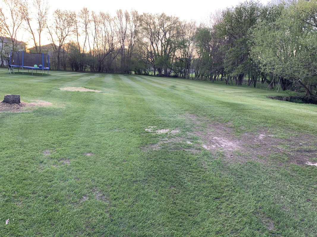 D0D63A3E-7E88-450E-8DC6-D6696FFE90EB